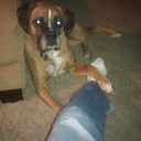 Joe Harn  - @papajoe54 - Twitter