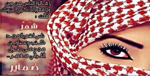 a7laahm85 Profile Picture