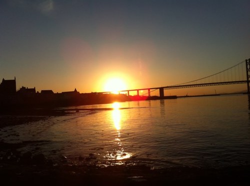 terminatorT45d's profile picture. 