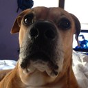 Rex R Rudy III - @RexRowe - Twitter