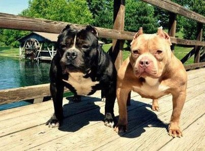 ticherplusyahoo's profile picture. 