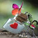 Anna Lamberti  - @AnnaLamberti06 - Twitter