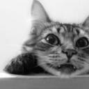 Gene Beaver - @geniebeaver - Twitter