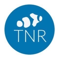 at TNR we aim to show people that nanoreefs are not just a beginners system and beautiful tanks can be created in miniature