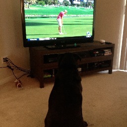 Just Golf.