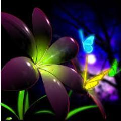 yulitatianamarq's profile picture. 