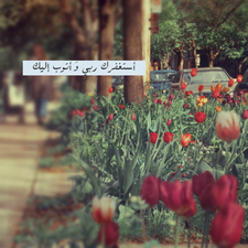 ‏‏‏‏سبحانك ربي اني كنت منن الظالمين  ، سبحان الله وبحمده سبحان الله للعظيم