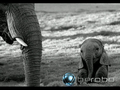 Analysteensocio's profile picture. 