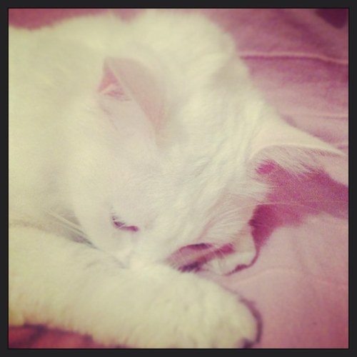 YvetteLopezRoma's profile picture. 