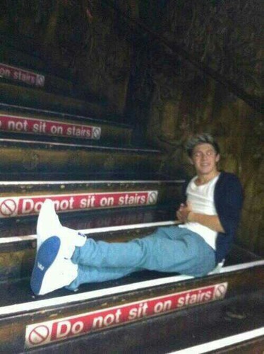 MeLoveNiallx's profile picture. Sorry I can't date you if you aren't Harry, Louis, Niall, Liam or Zayn!14/03/11 & 18/01/12 one directionTAKE ME HOME TOUR 2013 CAN'T WAITJordan Jansen follows