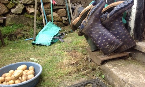 JustJessR's profile picture. 