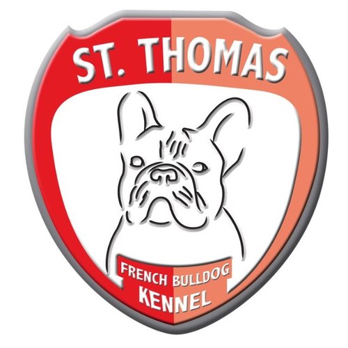 stthomasbulldog's profile picture. St Thomas Bulldog Kennel fue fundado en noviembre del 2010 con el fin de llevar a cabo una crianza 100% responsable, con todo nuestro cariño y pasión.