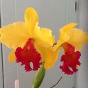 Val Murray - @ValLibtech - Twitter