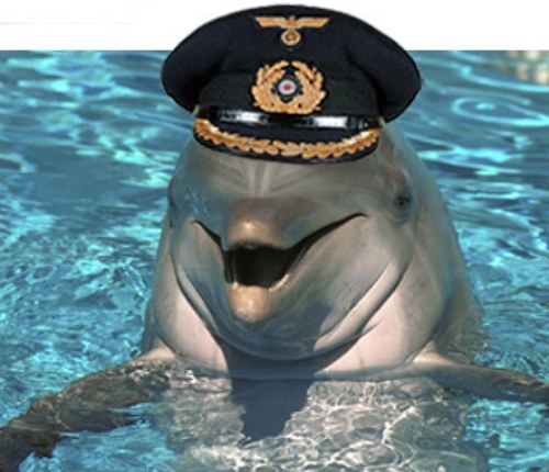 Chumster_101's profile picture. You're a dirty fish.