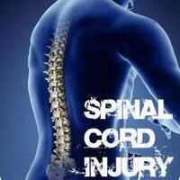 Spinal Cord Injury (@spinalcinjury) 's Twitter Profile