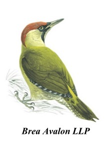 Brea Avalon are the facilities management company that operates the bookings for the 3g pitch and clubhouse facilities at Keynsham Town FC.