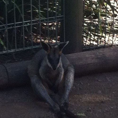 AusInbound's profile picture. Inbound Travel Company for Australia