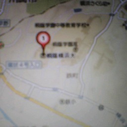 大学のことが中心。