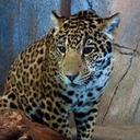 John Scholtz - @JohnScholtz1 - Twitter