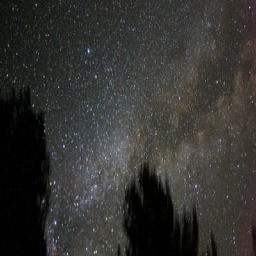 patriciabsteele's profile picture. 