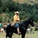 gilberto cuellar - @GCDOMUS - Twitter