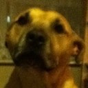 Jesse Barton - @Jesseb1306 - Twitter