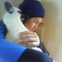 Shifa Suryonegoro (@shifasryonegoro) 's Twitter Profile