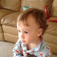 rex s (@1689nut) 's Twitter Profile