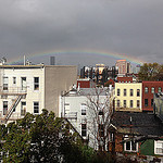 brolic_robots's profile picture. 