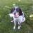 Profile Picture of Robert S. Spaniel (@@RobertSSpaniel) on Twitter