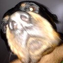 ThrowinStones - @Winston_Harper - Twitter