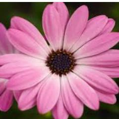 DonnaFinney3's profile picture. 