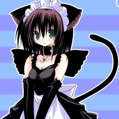 H-Hi Im Bree! Im a regular neko that goes to Monster High! Im kinda shy! Im #Single! Friend/master: @Nightmare_Ruler