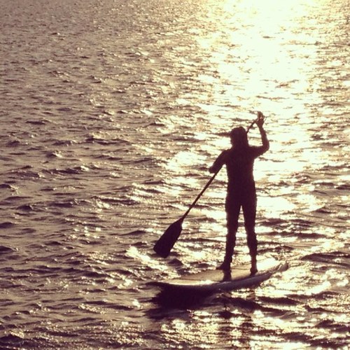 no_TORiousss's profile picture. Some call me #stoopid, some call me wild. I'm known coast to coast as the hippie flower child.