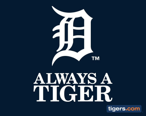 Detroit Tigers Detroit Lions