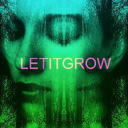 Las Vegas based Electronic Collective.