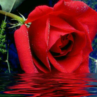للنساء فقط PIN:28EB6C6C