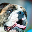 Michelle Prentice - @MommaPrentice - Twitter