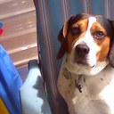 richard dulin - @DulinUsn2 - Twitter