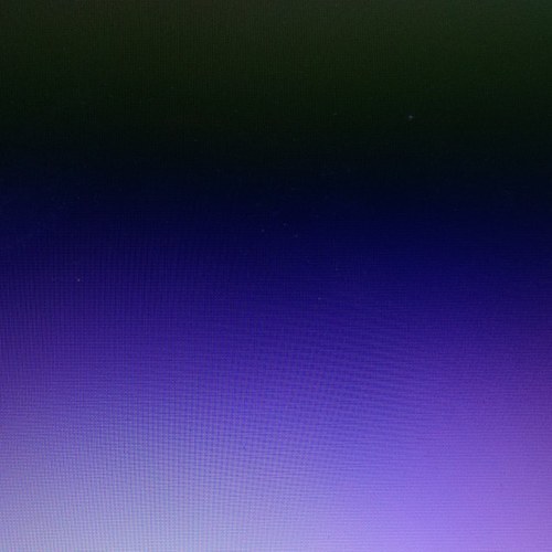 isolatedanarchy's profile picture. I enjoy long walks on the beach and eating that fine pussy all night long babby