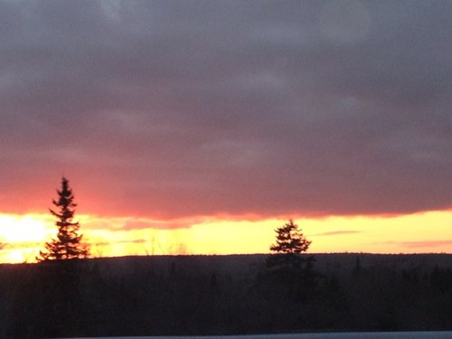 shirlstpierre's profile picture. 