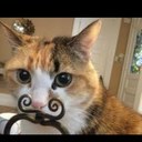 Aiden Gregory - @Homohippo - Twitter