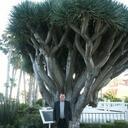 Ralph Cornwell - @behindthemask4 - Twitter