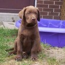 Helen Nickerson - @HelenNickerson - Twitter