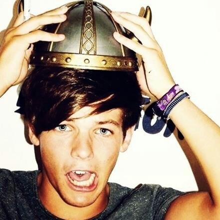 Im just a crazy bitch who loves one direction