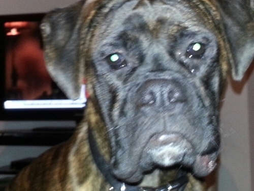 natebonderud's profile picture. 