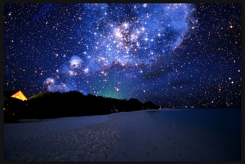 PDCAdvice's profile picture. 