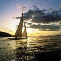 Juan Felipe Renza (@felipe_renza) 's Twitter Profile