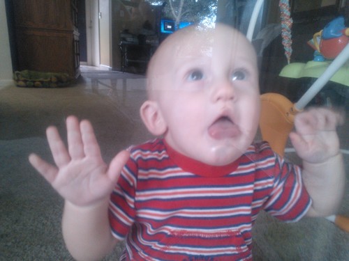 andenthal's profile picture. Old chef that sells anchors for rich people. But don't want to see America fail.