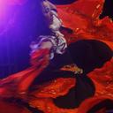 BARBARA PIEMONTE - @barbaracigana - Twitter